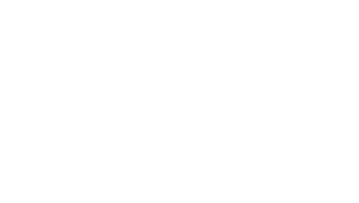 MSAAC Logo